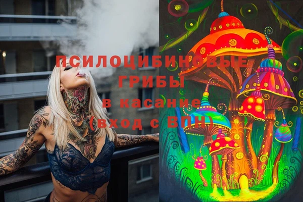 бутират Баксан