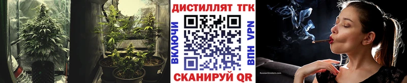 mega рабочий сайт Кохма ТГК вейп цена наркотик