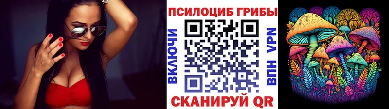 где продают наркотики  Кохма  Галлюциногенные грибы GOLDEN TEACHER 